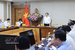政府副总理胡国勇主持会议。图自越通社