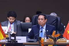 范明政在全体会议上发言。图自越通社