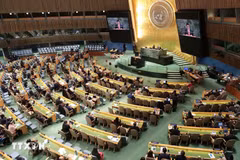 美国纽约时间10月14日，联合国大会在联合国总部选举2026-2028年任期的联合国人权理事会成员国。图自越通社