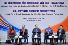 第九届越南—美国商业峰会参会代表。图自越通社