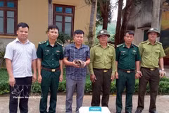 风芽-格邦国家公园生物救护、保护与发展中心接收爪哇穿山甲。图自越通社