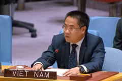 越南常驻联合国代表团副团长阮海刘公使。图自越通社