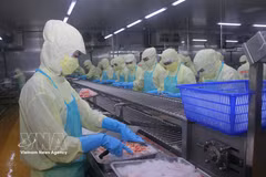 资料图。图自越通社