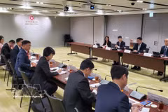 胡志明市代表团与香港特别行政区数字政策办公室举行工作会谈。图自越通社