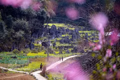 同文岩石高原地区的美丽风景。图自越通社