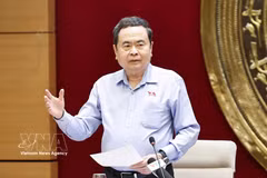 越南国会主席陈青敏在会上发言。图自越通社