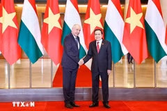 2025年5月28日下午，越南国会主席陈清敏在国会大厦会见了正对越南进行正式访问的匈牙利总统舒尤克·道马什。图自越通社