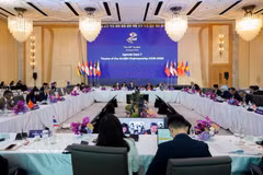 第29届东盟劳工部长会议在曼谷举行。图自越通社