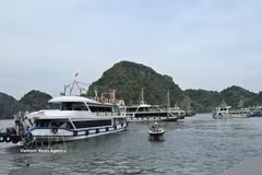 游船载客参观下龙湾。图自越通社