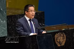 越南常驻联合国代表团副团长阮海刘公使。图自越通社