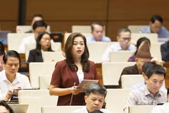 高平省国会代表段氏黎安发表讲话。图自越通社