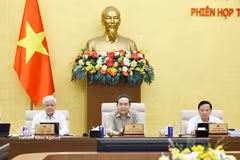 越南国会主席陈青敏在会上发言。图自越通社