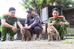 职能力量接收由人民移交的猴子。图自越通社