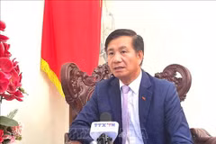越南驻马来西亚大使丁玉玲。图自越通社