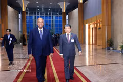 越南国会国防安全与对外委员会常务副主任武海河到内排国际机场迎接科特迪瓦国民议会议长帕特里克·阿希。图自越通社