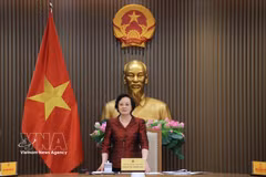 越共中央书记处书记、政府副总理、国家老年人委员会主席范氏清茶主持会议。图自越通社