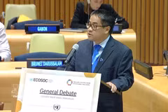 越南常驻联合国代表团副团长阮海刘公使在会上发表讲话。图自越通社