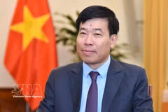 越共中央委员、外交部党委常务副书记、外交部副部长阮孟强。图自越通社