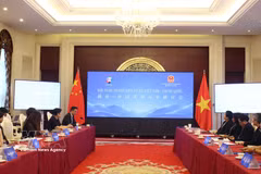 研讨会场景。图自越通社
