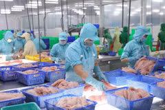 资料图。图自越通社