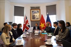 越南驻英大使杜明雄在座谈会上发表讲话。图自越通社