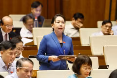嘉莱省国会代表在会上发表讲话。图自越通社