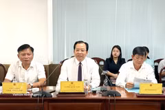 芹苴市人民委员会副主席王国南发表讲话。图自越通社