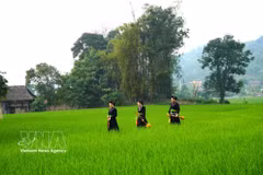 谅村——备受国内外游客青睐的社区旅游目的地。图自越通社