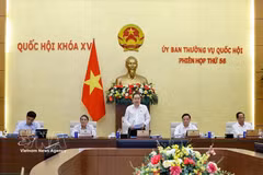 国会主席陈青敏在会上致开幕词。图自越通社