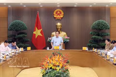 越南政府副总理黎进珠主持召开规范性法律文件全面核查工作情况会议。图自越通社