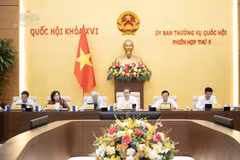 国会主席陈青敏与各位国会副主席。图自越通社