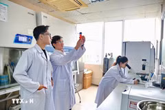 大会文件特别强调了教育培训、科学技术、创新创意和人文建设作为提升竞争力且推动可持续发展的核心动力作用。图自越通社