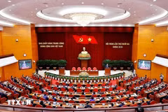 资料图：越共十三大场景。图自越通社