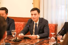 越南外交部副部长邓黄江。图自《国际报》