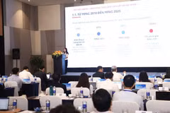 研讨会现场。外交部供图