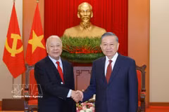 越共中央总书记、国家主席苏林会见墨西哥劳动党总书记、参议员阿尔贝托·阿纳亚·古铁雷斯。图自越通社