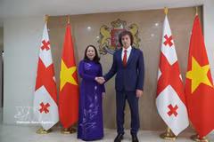 越南国家副主席武氏映春与格鲁吉亚总理伊拉克利·科巴希泽。图自越通社