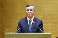 越南财政部长吴文俊。图自越通社