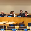 越南常驻联合国代表团团长杜雄越大使与会。图自越通社