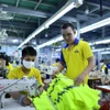 越南企业拓展欧盟、加拿大、澳大利亚等市场,挖掘中国西南地区、中东、拉美等潜在市场。图自越通社