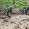 目前，公安、军队、民兵和各级组织力量等近700人参与救援行动。图自越通社
