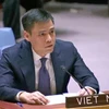 越南常驻联合国代表邓黄江出席并发表讲话。图自越通社