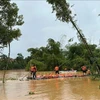 11号台风过后发生强降雨在越南多地造成严重破坏。图自越通社