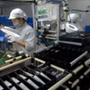 附图。图自越通社