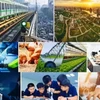 附图。图自互联网