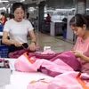 附图。图自越通社