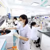 附图。图自越通社