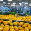 2025年全国果蔬出口总额预计达到80亿至84亿美元。图自