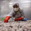 附图。图自越通社