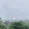 附图。图自//www.mae.gov.vn/